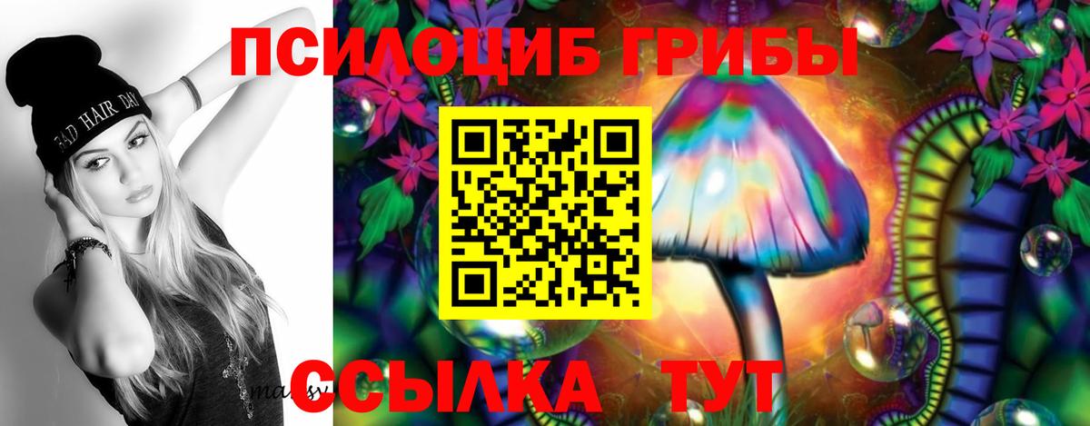 Псилоцибиновые грибы Magic Shrooms  Вход с VPN  Каменск-Шахтинский 